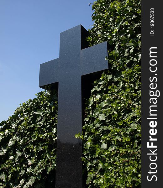 Black cross overgrown whit ivy over blue sky