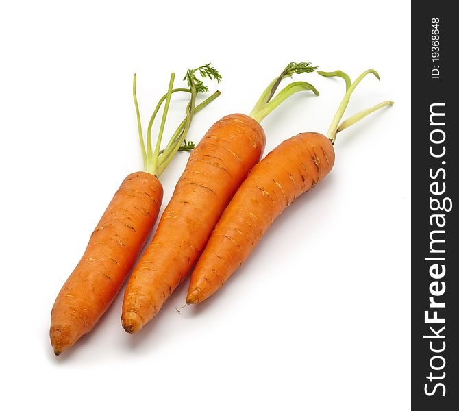 Fresh Baby Carrots on White Background