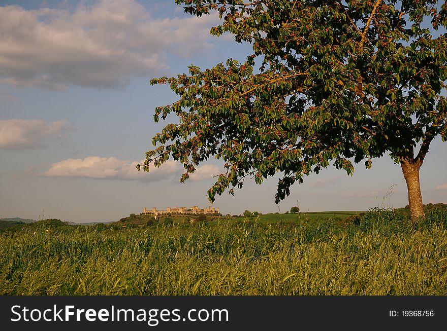 A country landscape and in the background the castle of monteriggioni. A country landscape and in the background the castle of monteriggioni