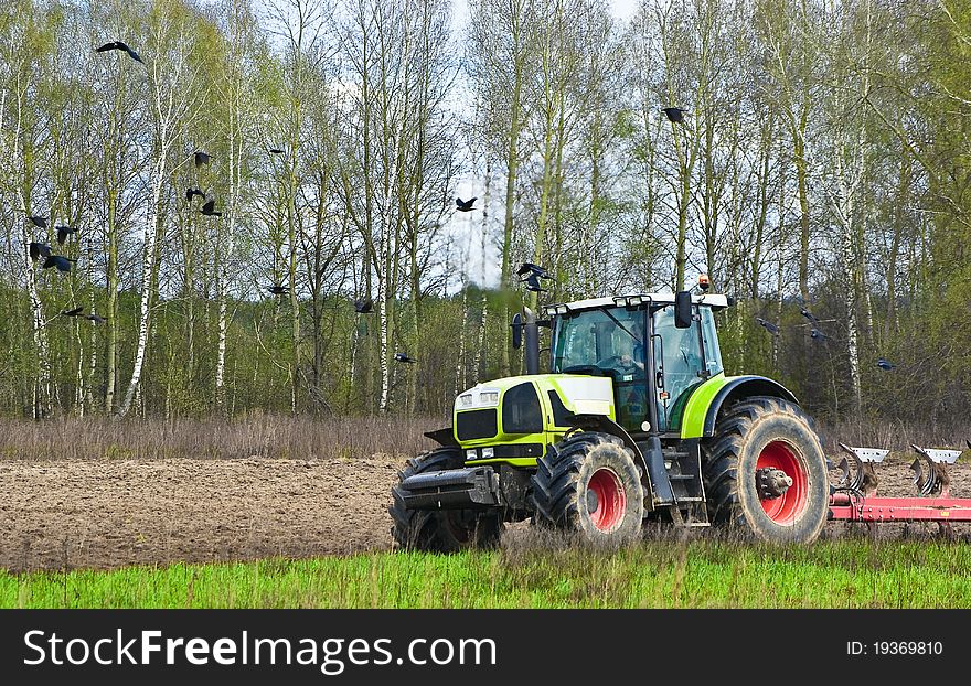 The tractor plows a field accompanied by rooks. The tractor plows a field accompanied by rooks