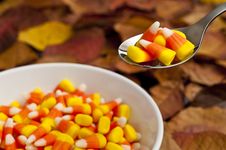 Candy Corn Snack Royalty Free Stock Image Candy Corn Snack Royalty Free Stock Image