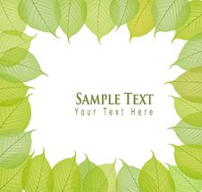Border With Fresh And Green Leaves. Vector Stock Photo Border With Fresh And Green Leaves. Vector Stock Photo