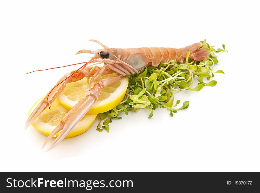 Fresh and varied seafood isolated on white background. Fresh and varied seafood isolated on white background