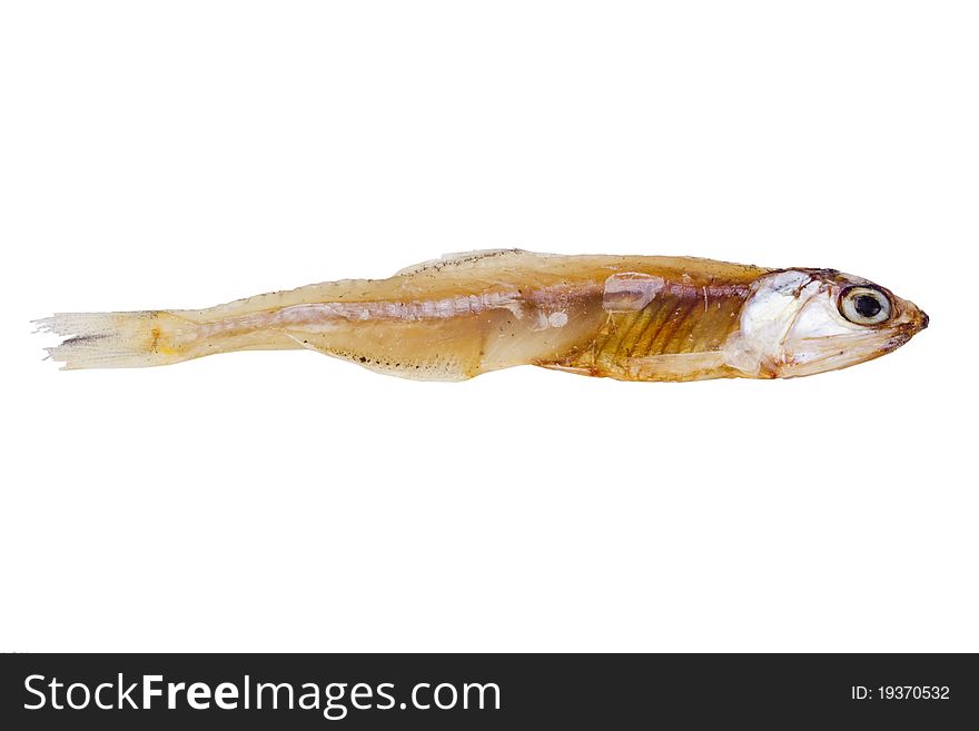 Small dry fish isolated on a white background.