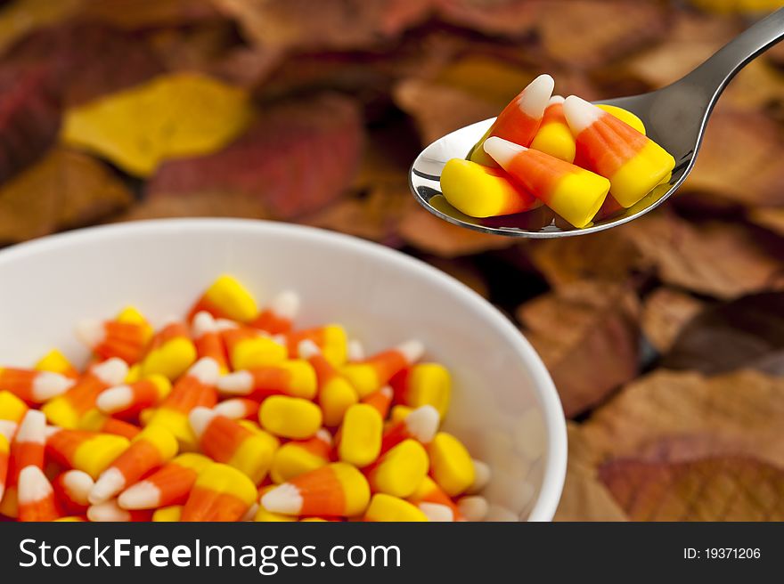 Dish of candy corns surrounded by colorful fall leaves. Dish of candy corns surrounded by colorful fall leaves