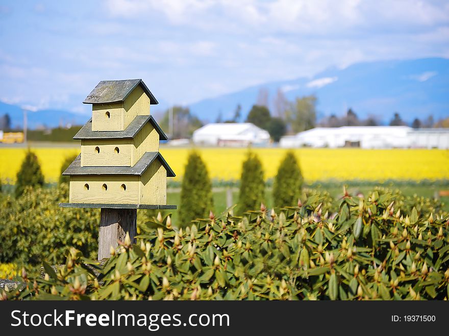 Little green  birdhouse with tree floors with spring farms feld background.