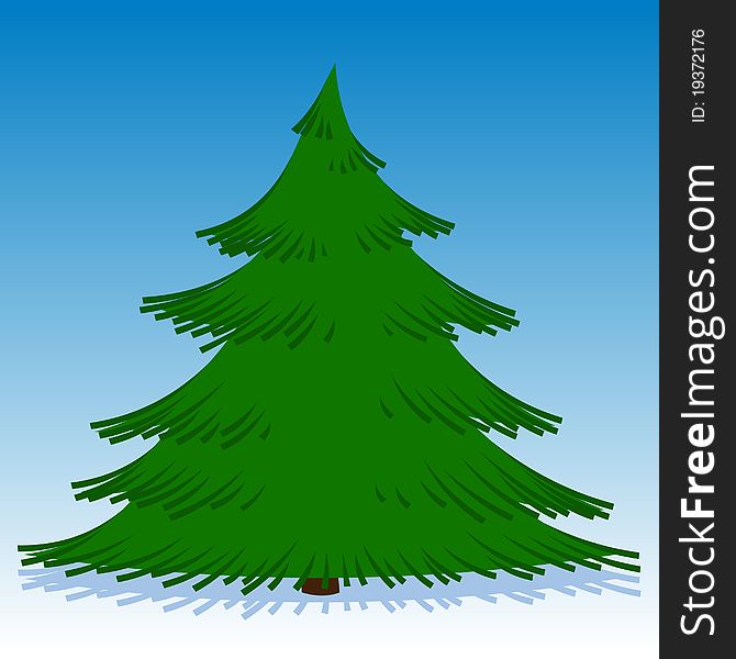 Illustration of spruce on a blue background. Illustration of spruce on a blue background