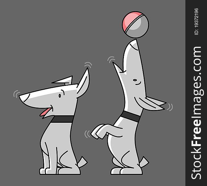 Gray dog in two different locations on a dark gray background. Gray dog in two different locations on a dark gray background