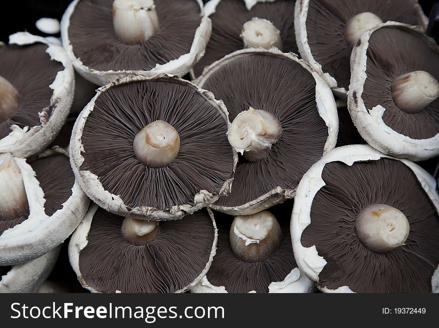 Mushroom Background taken at local market. Mushroom Background taken at local market