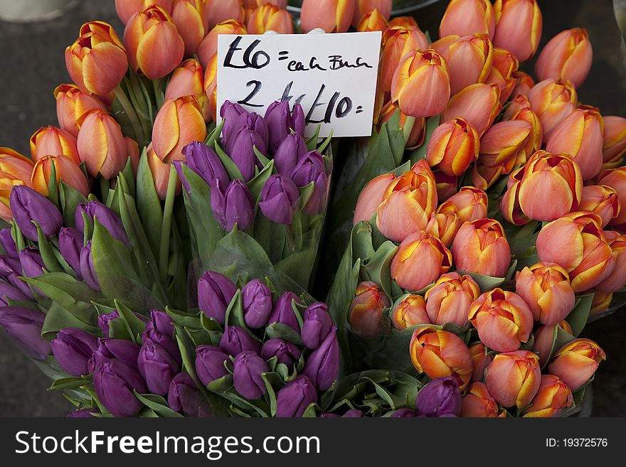 Bunches of Tulips for Sale on Market Stall in London