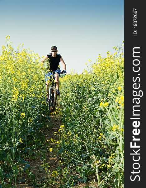 Men on bike in flower field. Men on bike in flower field