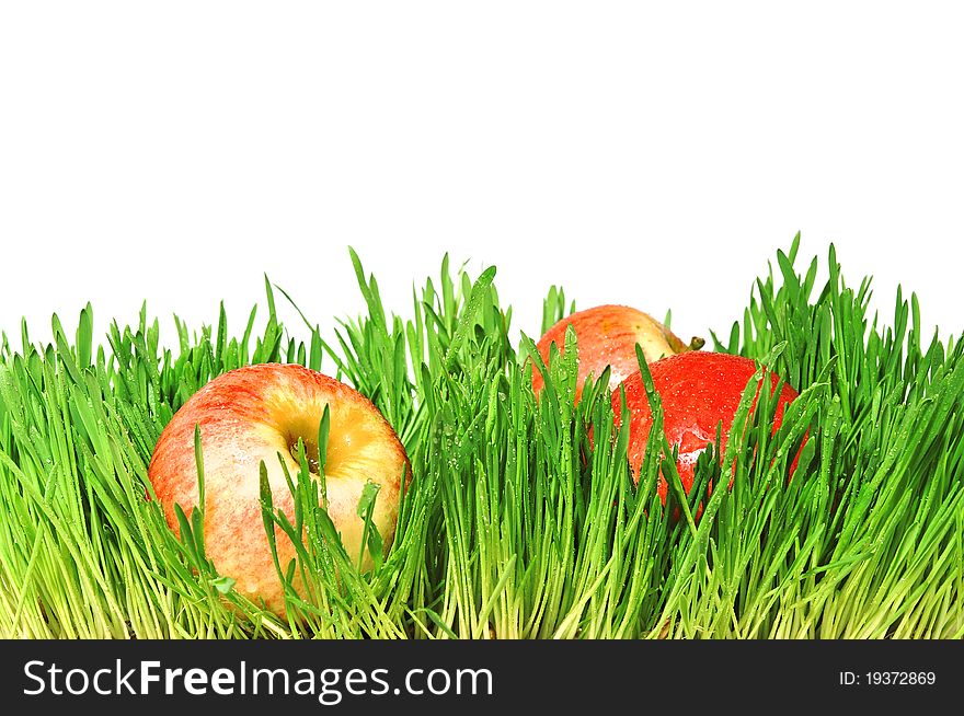 Red apples in a green grass