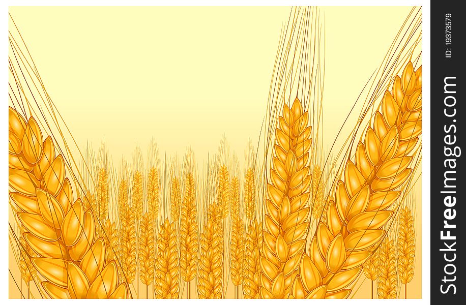 Ripe ear wheat on yellow background, agricultural illustration