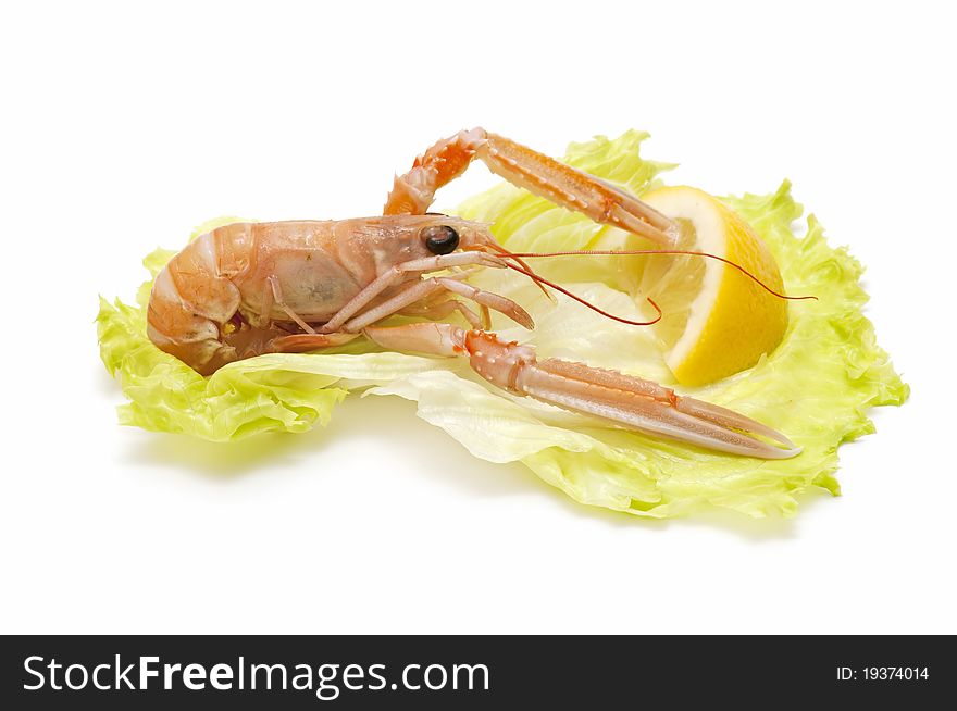 Lobster isolated on white background. Lobster isolated on white background