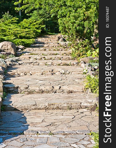 Stone steps in the needles garden. Stone steps in the needles garden