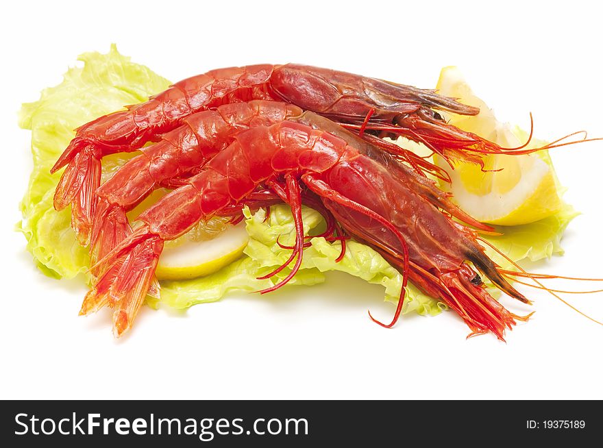 Seafood over a bed of lettuce and lemon isolated on white background