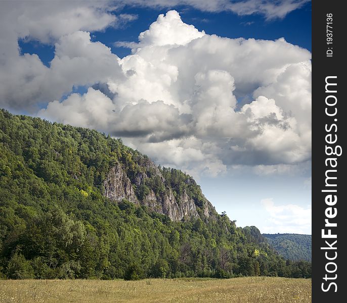 Mountain covered by forest in the background of white clouds.