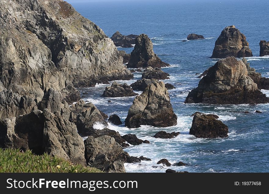 The Coastline at Bodega Head California. The Coastline at Bodega Head California