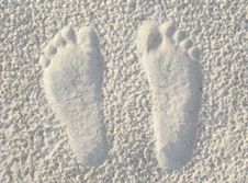 Footprints In The Sand Royalty Free Stock Photography Footprints In The Sand Royalty Free Stock Photography