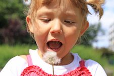 Girl Blowing A Dandelion Stock Image Girl Blowing A Dandelion Stock Image