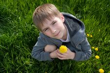 Boy With Dandelion Stock Image Boy With Dandelion Stock Image