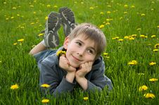 Boy Lying On Dandelion Meadow Stock Photo Boy Lying On Dandelion Meadow Stock Photo