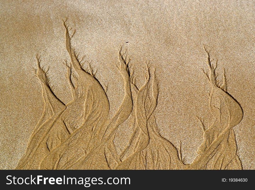 Rare tidal drainage patterns on the beach in form of flames. Rare tidal drainage patterns on the beach in form of flames.
