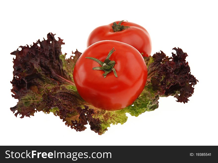 Fresh tomatoes, red leaf lettuce ,  isolated on white background