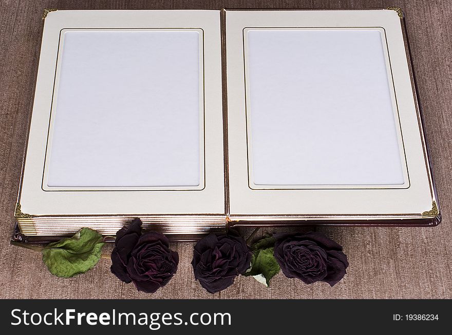 Open old book with gold framed pages and dried roses