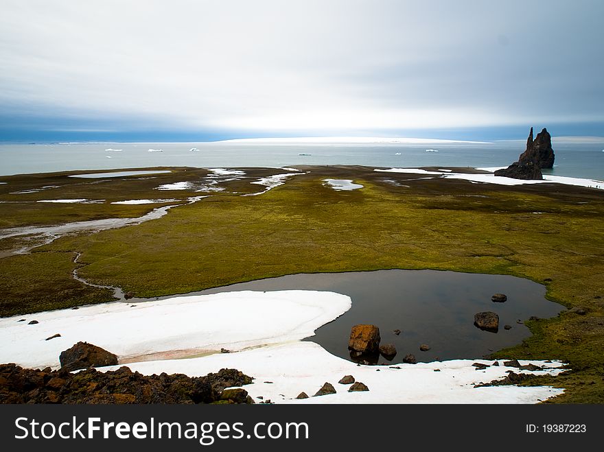 Franz Jozef Land, Hall Island, Cape Tegethoff, summer 2010