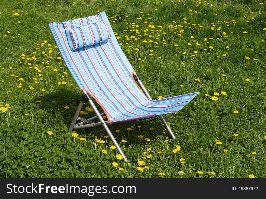 Garden chair in the grass surrounded with dandelion flowers