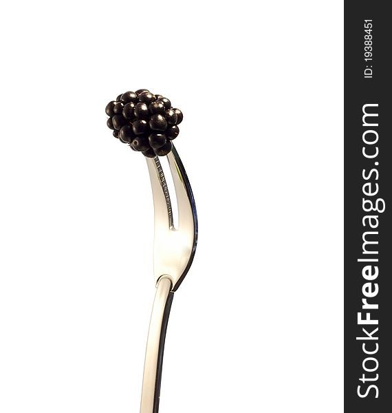 Ripe Blackberry pinned on iron toothed fork isolated. Ripe Blackberry pinned on iron toothed fork isolated