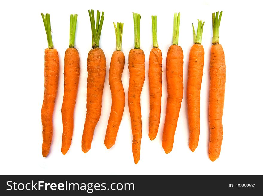 Line of carrots isolated over white. Line of carrots isolated over white