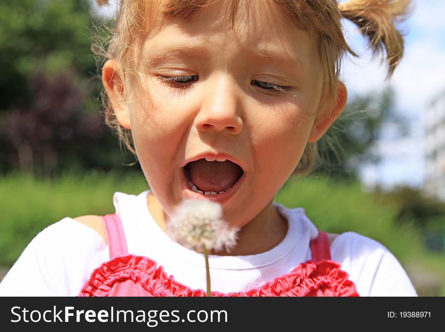 Beautiful girl blowing a dandelion