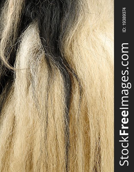 Closeup of textures and colors in Yak hair. Closeup of textures and colors in Yak hair