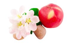 Apple, Apple Flowers And Stones Stock Photos Apple, Apple Flowers And Stones Stock Photos