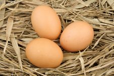 Three Eggs Stock Image