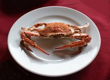 Crab On The Plate. Stock Photos