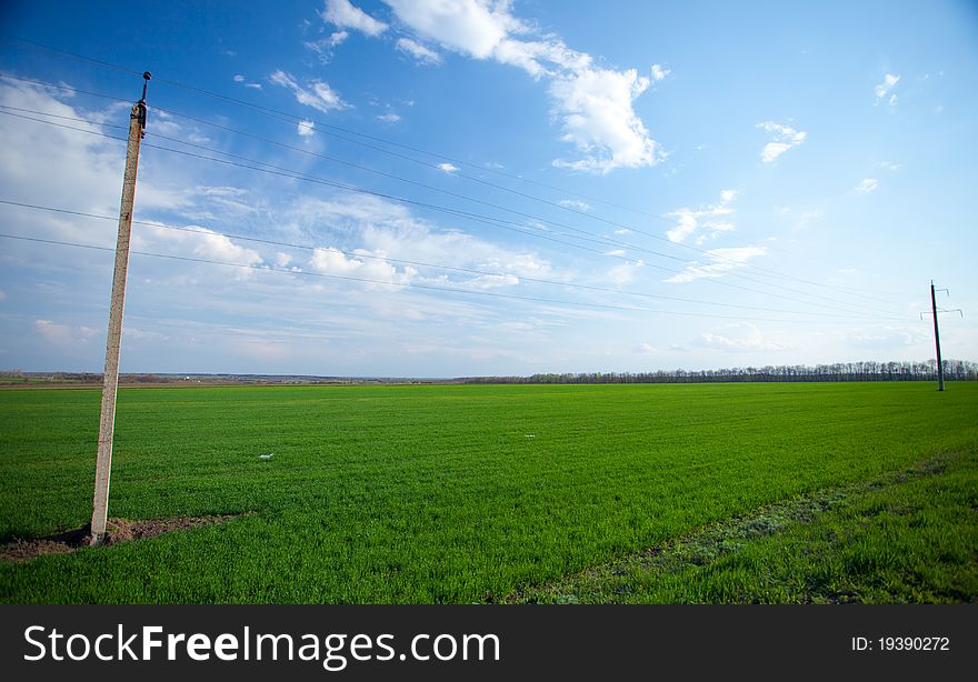 Field and sky