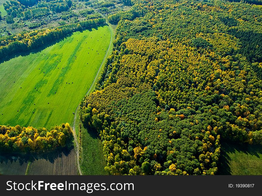 Aerial photography - under the wing of the aircraft visible autumn fields and woods. Aerial photography - under the wing of the aircraft visible autumn fields and woods