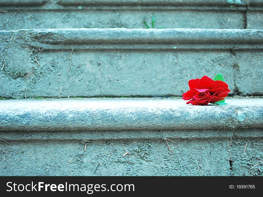 A red rose at the stairs of love. A red rose at the stairs of love