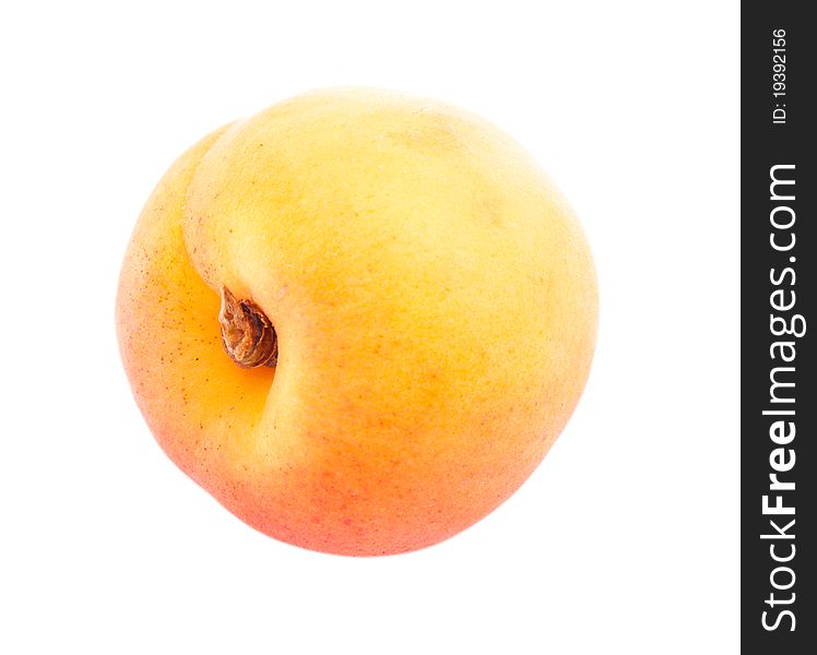 One Apricot.