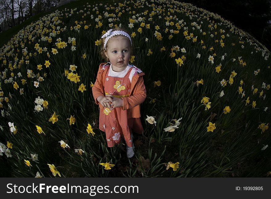 A young girl standing in a feild of daffodil flowers, wearing a butterfly dress. A young girl standing in a feild of daffodil flowers, wearing a butterfly dress.