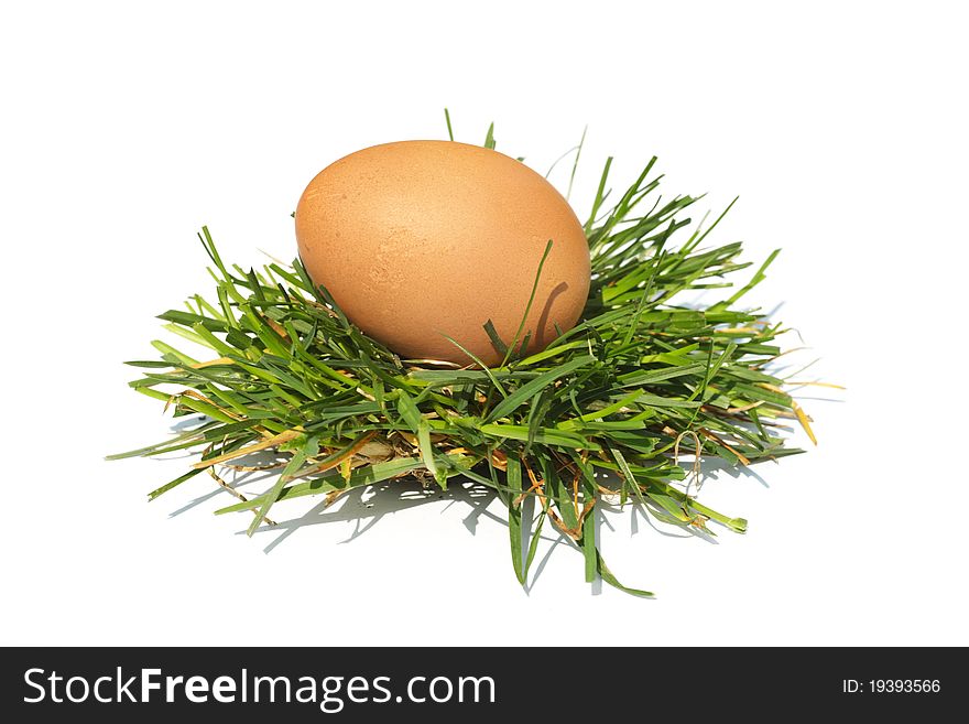 The egg a bird lays on a green grass. The egg a bird lays on a green grass