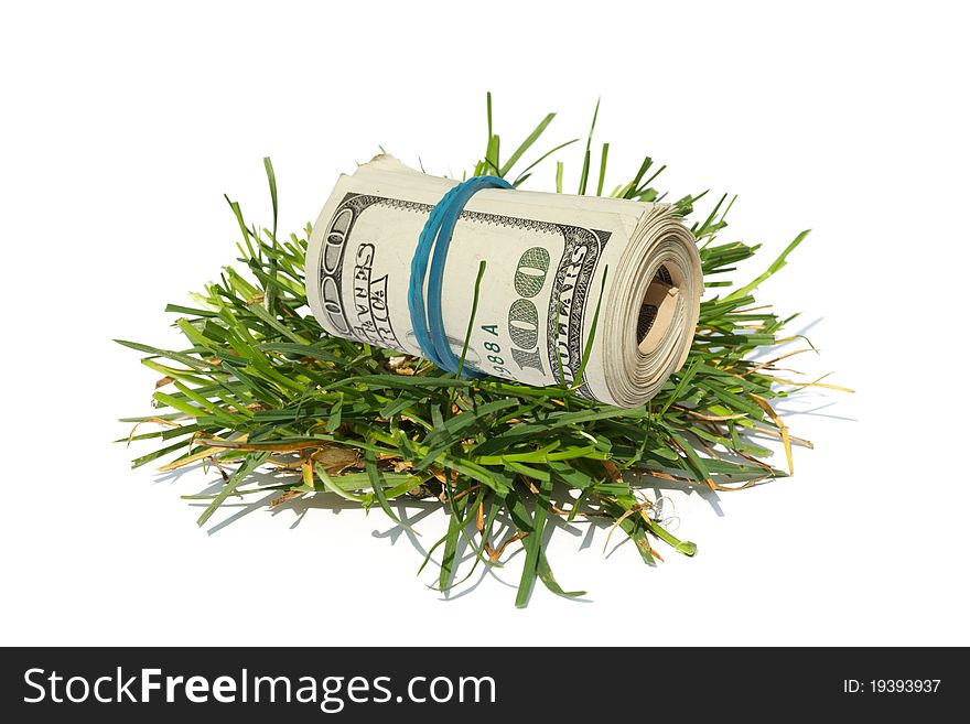 The US dollars lay on a green grass