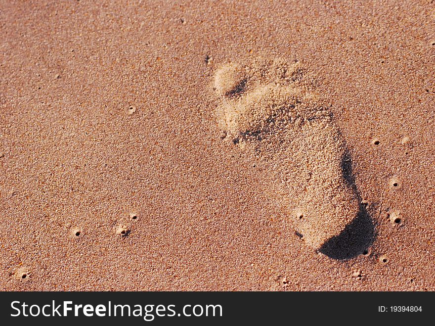 Footprint in sand on beach