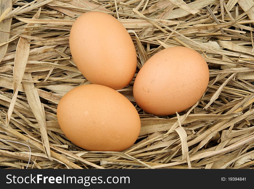 Closeup of three eggs on hay