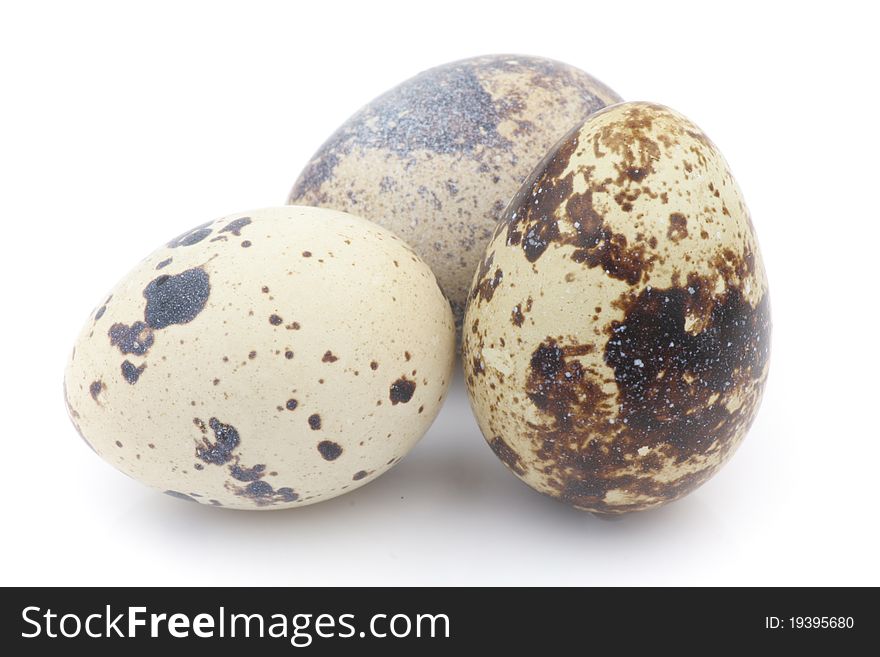 Isolated three partridge eggs in white background