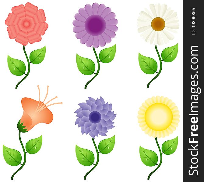 Illustration of different flowers on white background