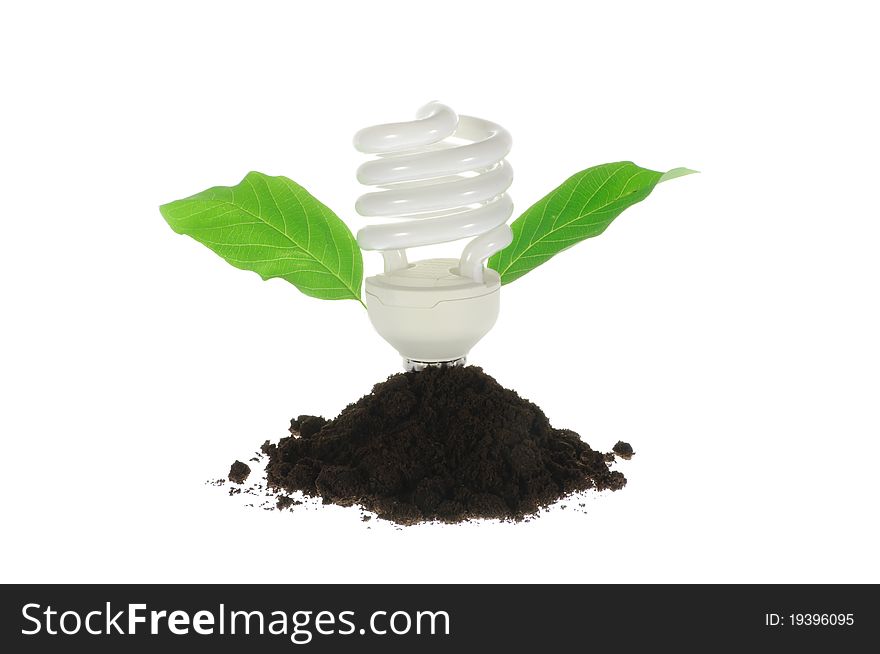 A fluorescent light bulb growing in soil with a green leaf. A fluorescent light bulb growing in soil with a green leaf.